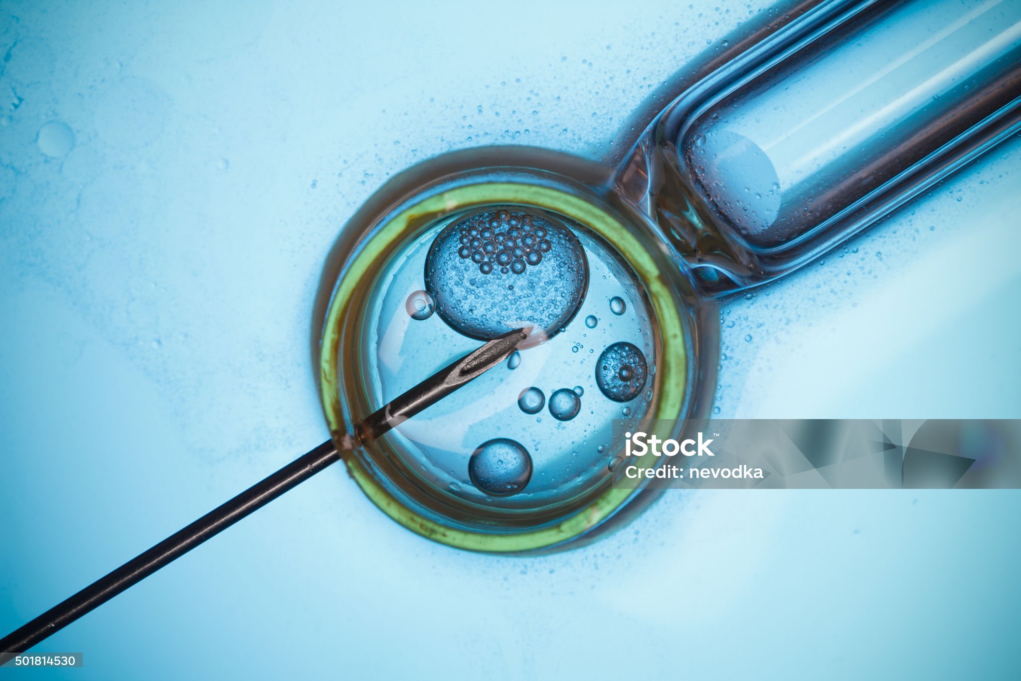 Life Sciences & Pharmaceutical industry